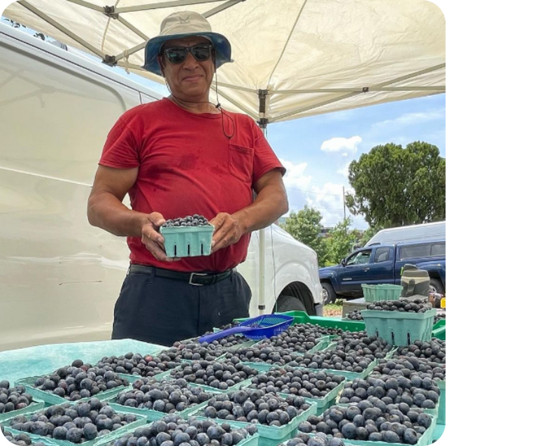 vendor of the week