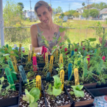 vendor-hot-plants-220x220.jpg